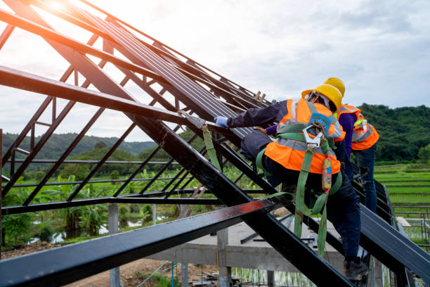 Best Roof Maintenance Services  in Glenwood, IL