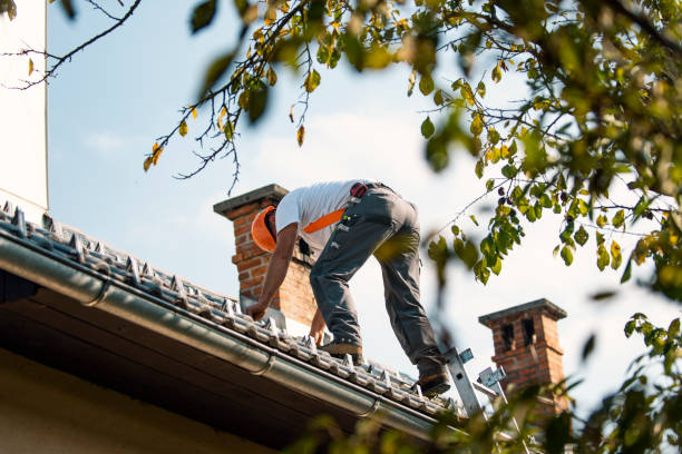 Best Roof Waterproofing Services  in Glenwood, IL