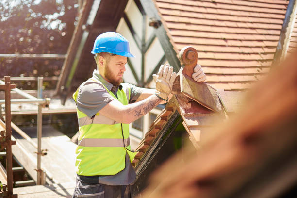 Best Commercial Roof Installation  in Glenwood, IL