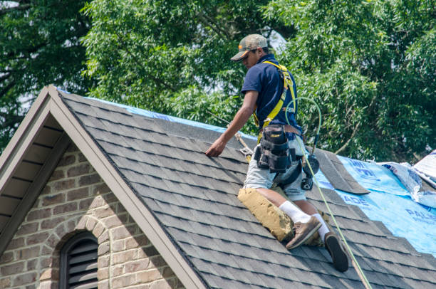 Best Roof Repair Services  in Glenwood, IL
